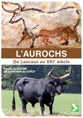Aurochs, de Lascaux au XXIe siècle