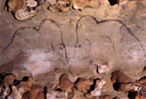 Mammouths - Grotte de Bernifal