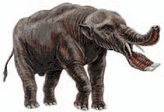 Platybelodon