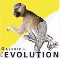 Galerie de l'évolution - Bruxelles