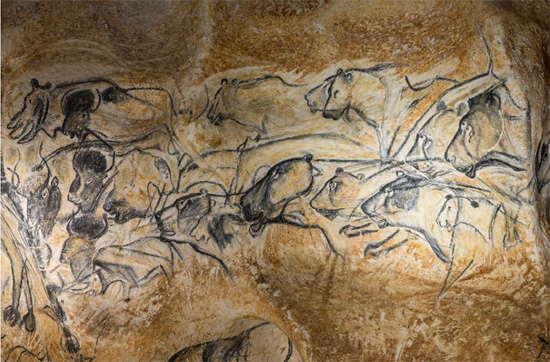 Scéne de chasse par les lionnes de la grotte Chauvet 