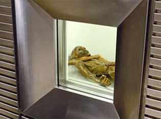 La momie d'ötzi dans son caisson au Musée de Bolzano en Italie