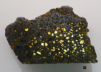 météorite Esquel trouvée en Argentine