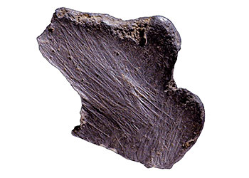 Bloc e manganse utilisé par Néandertal 