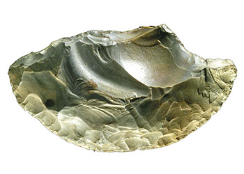Racloir utilisé par Néandertal