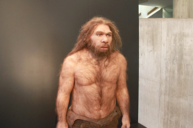 Néandertal par Elisabeth Daynes