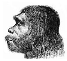 Néandertal en 1888