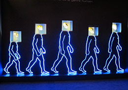 Quelques silhouettes d'hominidés