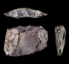 Outils datés de 1 millions d'années et attribués à l'ancêtre de l'homme de Flores