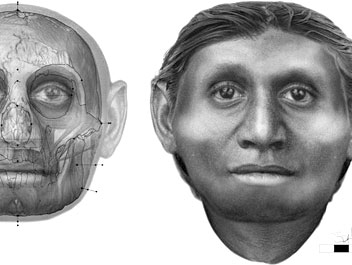 Le crâne et le visage d'Homo floresiensis