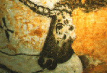 Auroch - Salle des taureaux - Lascaux