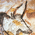 Auroch (detail) - Lascaux