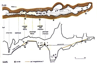 Plan de Lascaux par l'Abb&eacute; Glory