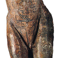 Venus impudique (d�tail) - Laugerie-Basse