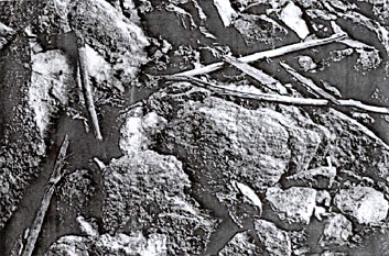 Les armes &eacute;parses d'Otzi d&eacute;couvertes sur le sol