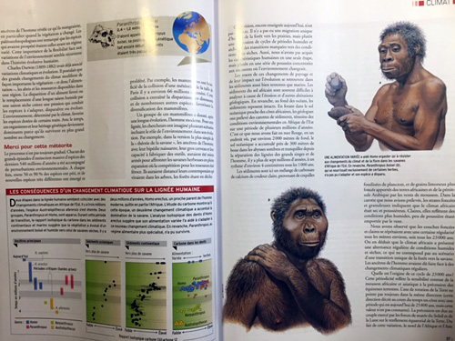 Evolution - Dossier pour la Science - pages intérieures