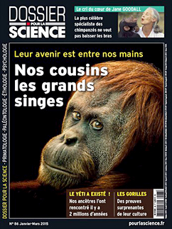 Nos cousins les grands singes - Pour la Science 86