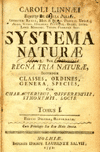 Systema_naturae.gif