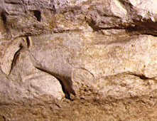 Cap Blanc cheval