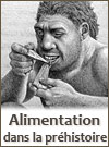Alimentation des hommes de la préhistoire