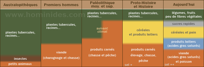 Evolution du régime alimentaire des hominidés depuis la préhistoire