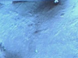 Traces d'usure sous forme de stries - Dent de neandertal &eacute;tudi&eacute;e au microspcope &agrave; balayage electronique