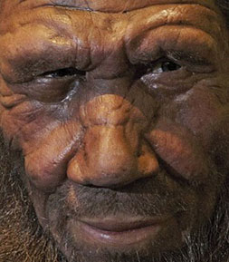 Néandertal ne supportait pas les pathologies africaines apportées par Hom sapiens