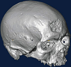 Cr&acirc;ne de cro-magnon