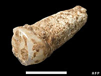 La dent du plus vieil européen de l'ouest à Atapuerca