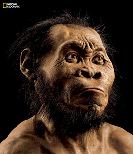 Reconstitution du visage d'Homo nadeli