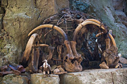 Hutte de néandertaliens en os de mammouths