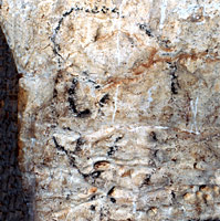 T&ecirc;te humaine - grotte de Rouffignac