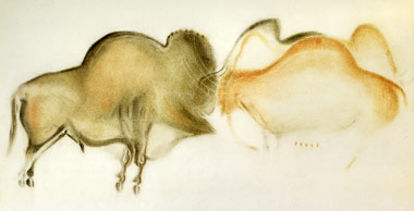 Bisons de la Grotte de Fo,t-de-Gaume - Relev&eacute; Breuil 
