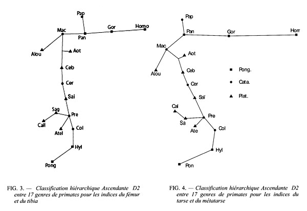 Classification hiérarchique ascendante
