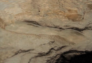 Des traces de pas de - 800 000 ans en Angleterre
