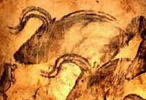 http://www.hominides.com/data/images/illus/chauvet/chevaux-aurochs-chauvet.jpg