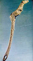 Bruniquel. Cheval 