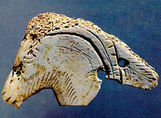 Isturitz. T&ecirc;te de bouquetin