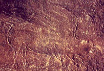 La Mouthe - Bison