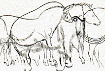 Figures enchev&eacute;tr&eacute;es cheval, bison - Combarelles
