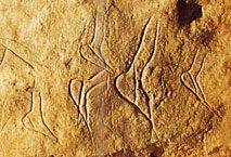 Figures f&eacute;minines