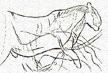 Trac&eacute; Felin Combarelles