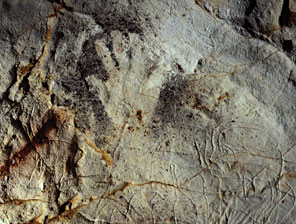 Main n&eacute;gative surchargeant les gravures &agrave; la grotte Cosquer