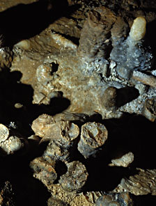 Stalagmites cass&eacute;s - Grotte Cosquer