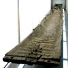Barque Carolingienne - Dendrochronologie - M�thodes de datations