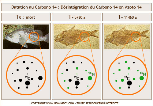 exemple de datation au carbone 14