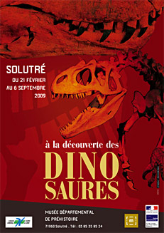 A la d&eacute;couverte des dinosaures - Solutr&eacute;