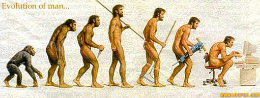 Evolution de l'Homme
