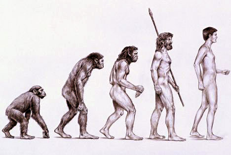 dessin représentant l'évolution de l'homme