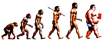 http://www.hominides.com/data/images/illus/evolution/evolution-homme-obese.jpg